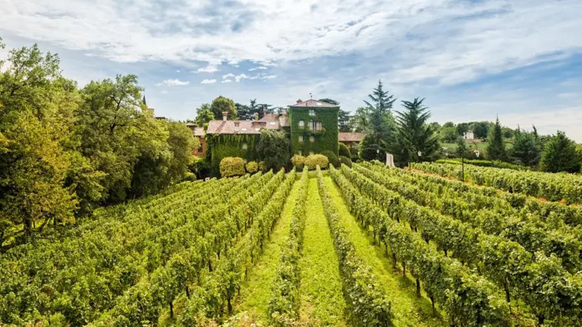 L'Albereta di Erbusco, della holding Terra Moretti