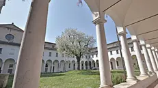 Il ciliegio monumentale del museo Diocesano di Brescia - New Eden Group © www.giornaledibrescia.it