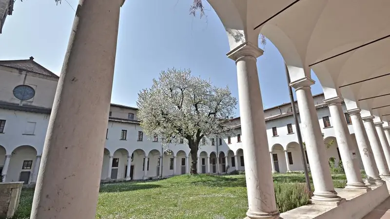 Il ciliegio monumentale del museo Diocesano di Brescia - New Eden Group © www.giornaledibrescia.it