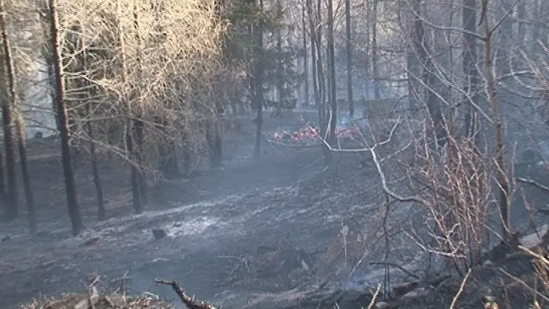 Un bosco camuno colpito da un incendio - © www.giornaledibrescia.it