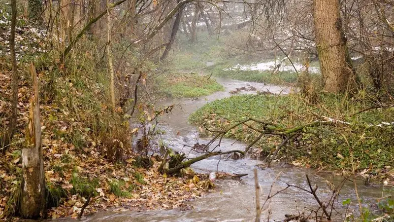 La roggia Savarona © www.giornaledibrescia.it