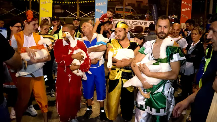 Polaveno. Oche pronte per la gara durante una delle ultime edizioni