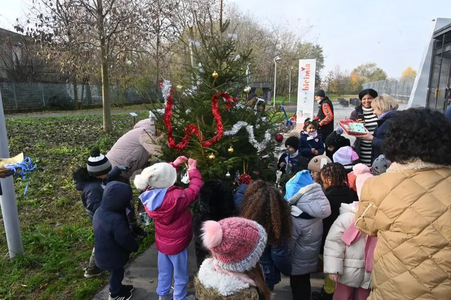 L'albero di Natale di comunità decorato dai bimbi della scuola dell’infanzia Marco Agosti