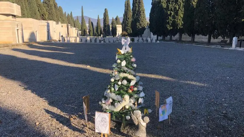 L'albero di Natale per i bimbi mai nati - Foto Marco Ortogni/Neg © www.giornaledibrescia.it