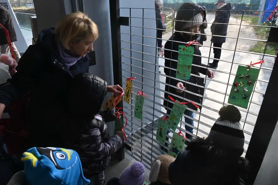 L'albero di Natale di comunità decorato dai bimbi della scuola dell’infanzia Marco Agosti