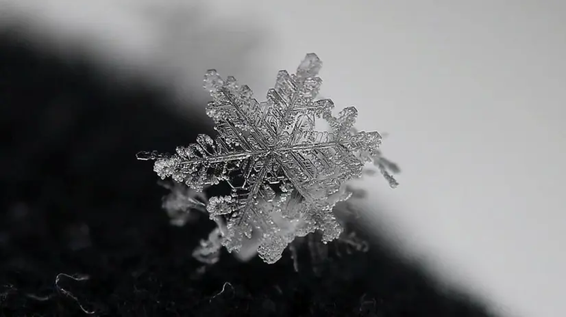 Un cristallo di neve fotografato a Mompiano