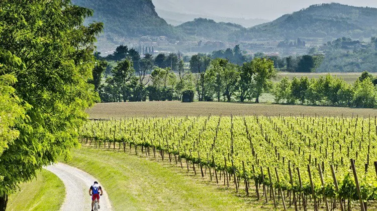 Uno scorcio della Franciacorta