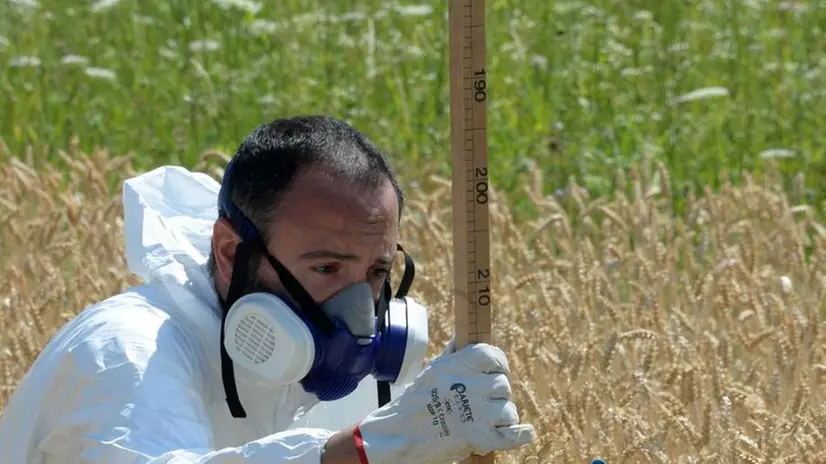 Un tecnico impegnato nelle indagini sulle aree agricole del sito Caffaro - © www.giornaledibrescia.it
