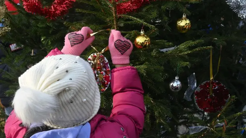 L'albero di Natale di comunità decorato dai bimbi della scuola dell’infanzia Marco Agosti