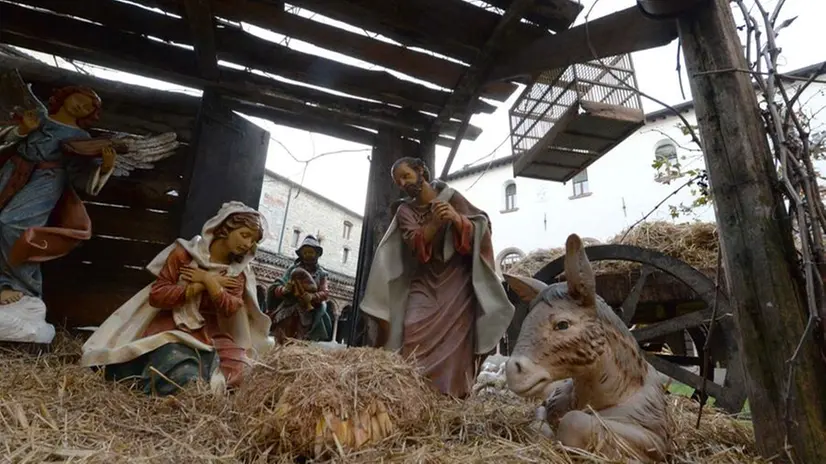 Gli allestimenti nella chiesa di San Francesco