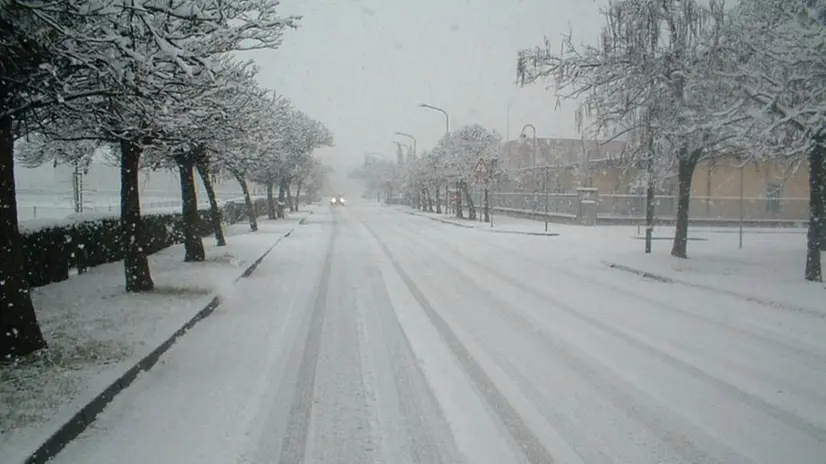 Una fotografia scattata a Roncadelle durante la nevicata del 28 dicembre 2005