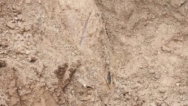 Gli ordigni bellici ritrovati allo scalo merci di via Vergnano