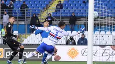 Il gol di Jallow nella vittoria interna con la Sampdoria - Foto New Reporter Comincini © www.giornaledibrescia.it