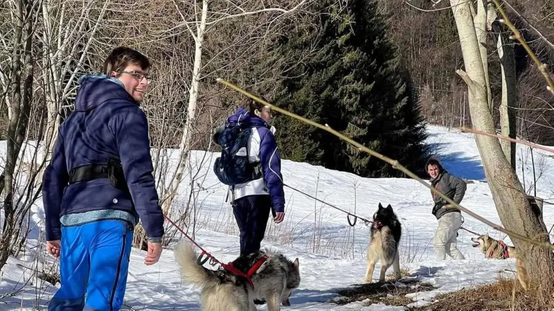 Un momento con i cani - © www.giornaledibrescia.it