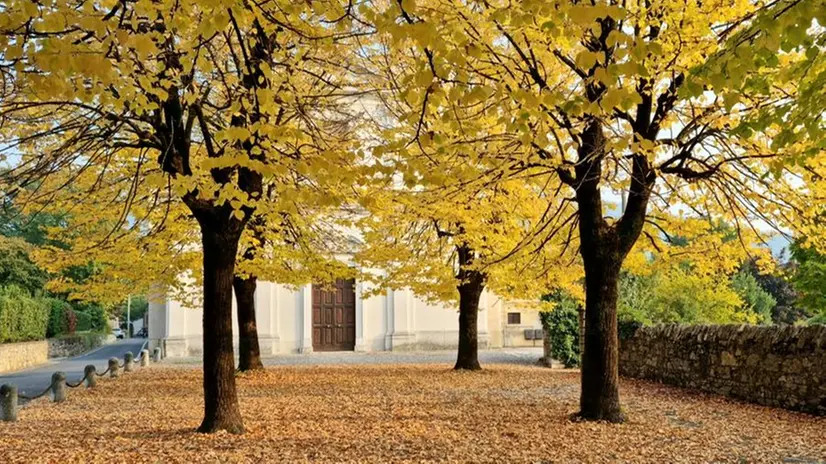 Il fascino del foliage autunnale