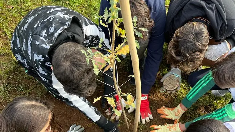 La festa dell'albero a Cortefranca