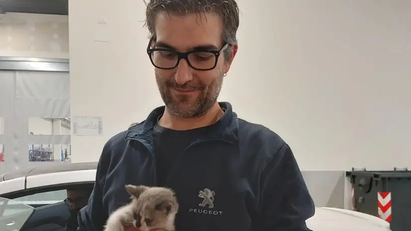 La gattina tratta in salvo dal personale del Gruppo Bossoni Auto di Rezzato
