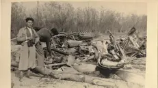 I resti del bimotore Mosquito dell'Usaaf precipitato a Quinzano il 30 marzo 1945 - Foto Carlo Feraboli/AirCrashPo