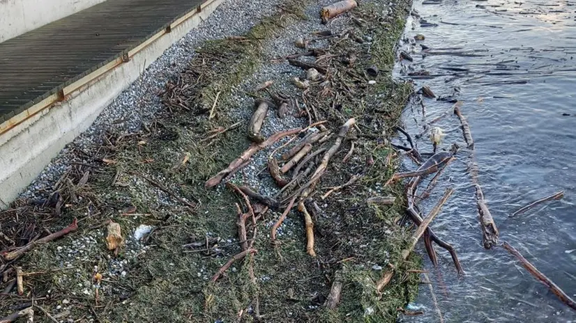 Il materiale depositatosi sulle spiagge