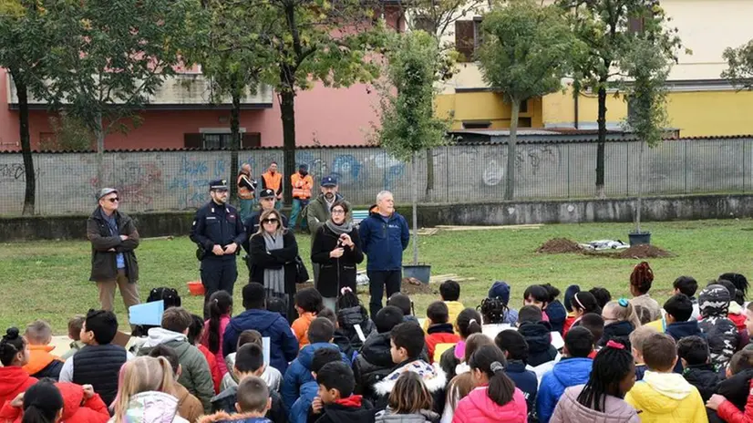 Gli alberi piantati oggi a Brescia