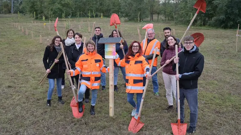 Dipendenti di Brebemi durante la fase di piantumazione dei 50 nuovi alberi - © www.giornaledibrescia.it