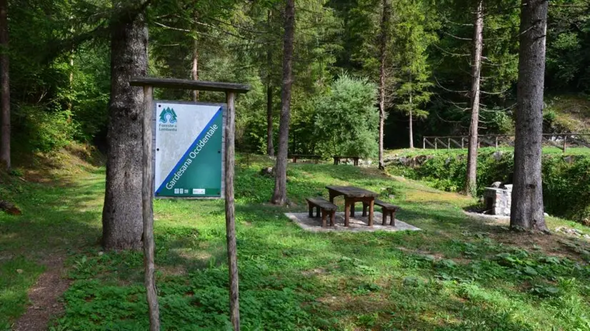 Un’area attrezzata nella foresta regionale dell’Alto Garda - © www.giornaledibrescia.it