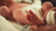 Un bambino neonato