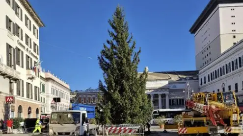 L'albero di Natale a Genova - Foto Facebook Comune di Genova
