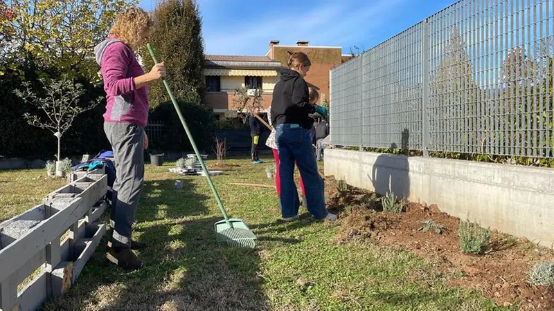 Alberi e piante aromatiche piantate a Mazzano