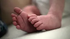 Il 17 novembre è la Giornata mondiale dei bambini nati prematuri