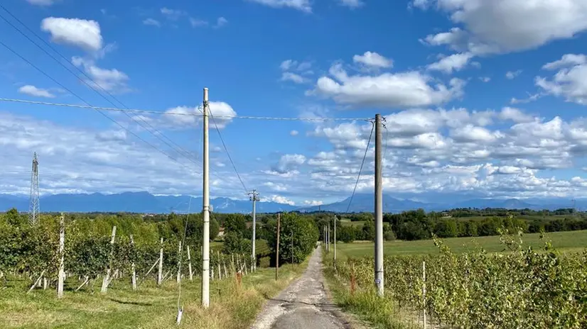 I vigneti di Lonato - © www.giornaledibrescia.it