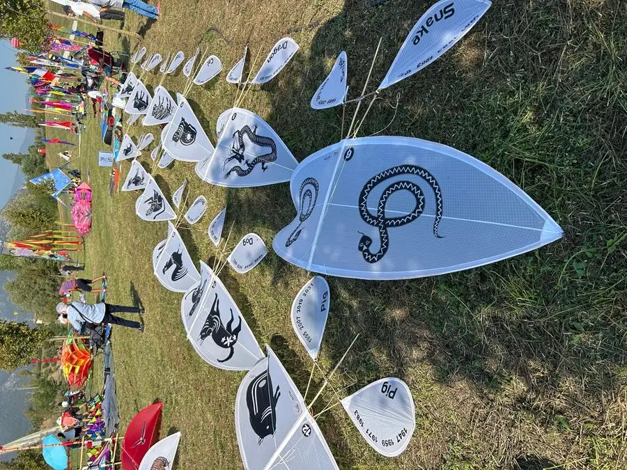 Aquiloni in volo al parco delle Cave