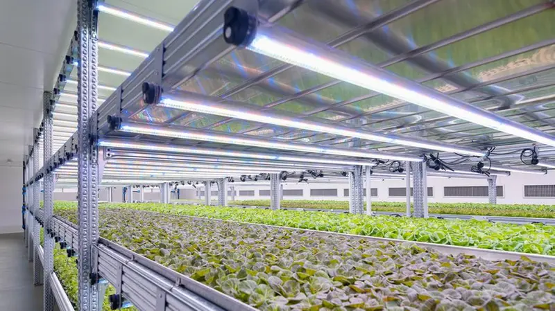 La vertical farm di Verolanuova è costata 32 milioni di euro