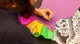 Día de los muertos: non mancheranno laboratori per bambini