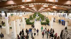 L’edizione 2022 ha richiamato oltre 22.000 visitatori, di cui 9.000 studenti - © www.giornaledibrescia.it