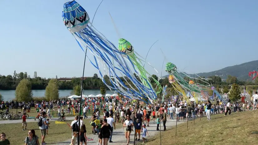 Il successo della festa degli aquiloni al Parco delle cave