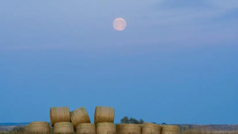 La «harvest moon» cantata da Neil Young, ovvero la luna del raccolto