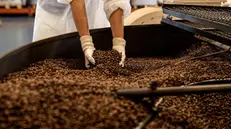 A Coccaglio una terza linea per il confezionamento delle capsule di caffè - © www.giornaledibrescia.it