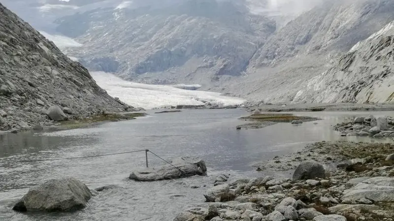 La raccolta delle larve al torrente Lares