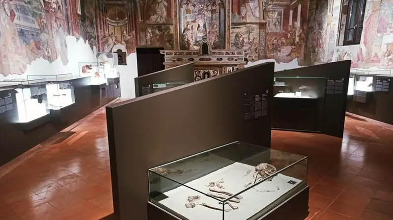 Il Museo di Remedello si è rinnovato per essere fruibile da parte di tutti - © www.giornaledibrescia.it