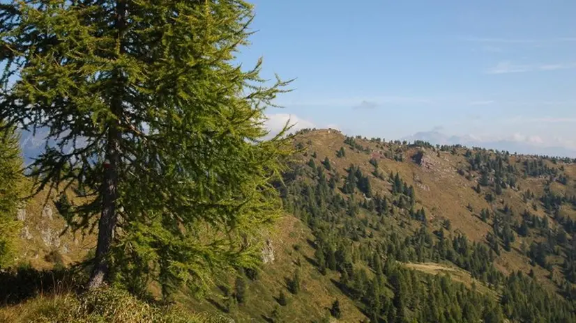 La vista che si apre per chi sale a Cima Pissola - Foto @bontempiruggero.jpg