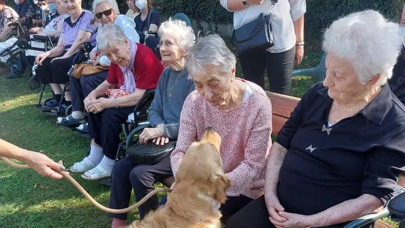 Gli ospiti della Rsa con i labrador della pet therapy