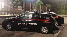 I carabinieri di Salò impegnati a San Felice - © www.giornaledibrescia.it