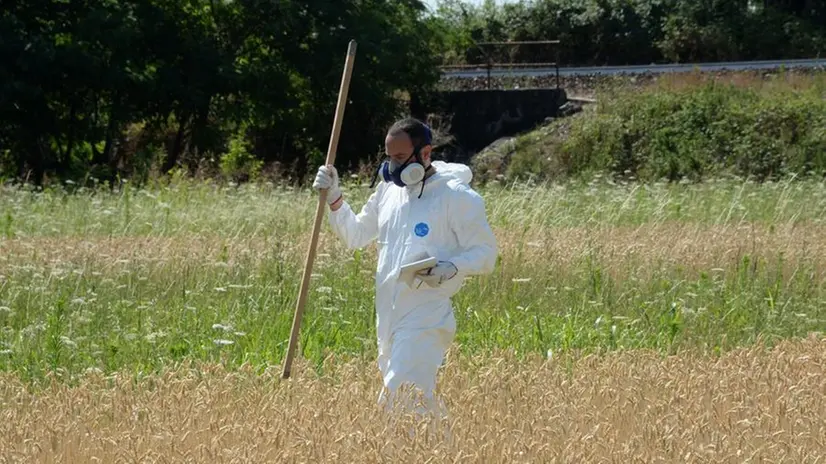 Uno dei tecnici di Ersaf impegnato nelle indagini sui campi agricoli inquinati nel Sin Caffaro - © www.giornaledibrescia.it