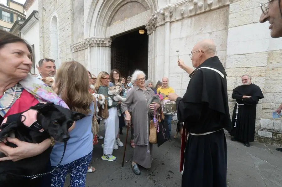 La benedizione degli animali sul sagrato della chiesa di San Francesco