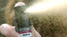 Spray al peperoncino (archivio)