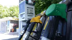 Un distributore di benzina - Foto Ansa © www.giornaledibrescia.it