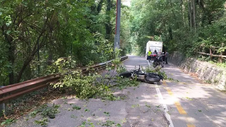 La moto travolta da un ramo che si è staccato in Maddalena
