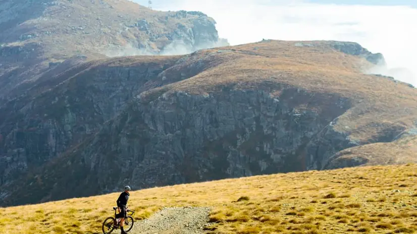Immagini della Jeroboam Bike