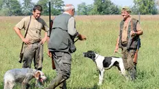 Il ricorso è stato affidato alla seconda sezione del Tar di Milano - © www.giornaledibrescia.it